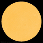 SDO/HMI Continuum Image of the Sun